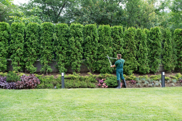 Best Tree Trimming and Pruning  in Biglerville, PA